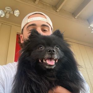 Meet your Posher, Alex